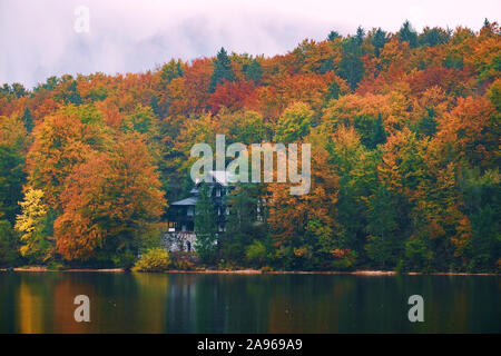 Wunderschöne Herbstlandschaft am Bohinj See, Nationalpark Triglav, Julischen Alpen, Slowenien Stockfoto