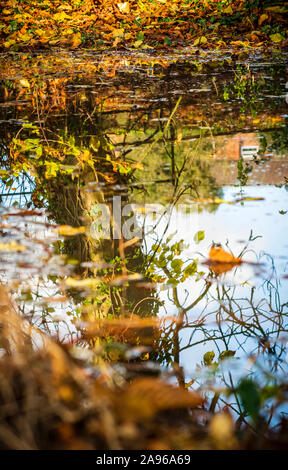 Melton Mowbray 13. November 2019: Als Bewohner in einer Flut betroffenen Gebiete in Großbritannien könnten Ausgaben Wochen entfernt von ihren Häusern, Mutter Natur bieten dem wunderbaren Spiegelungen der überschwemmten Wälder wie die Sonne bricht durch grauen Himmel. Clifford Norton Alamy Stockfoto