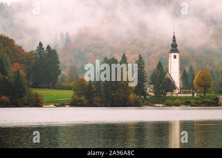 Nebeliger Morgen im Herbst am See Bohinj in Nationalpark Triglav, Slowenien Stockfoto