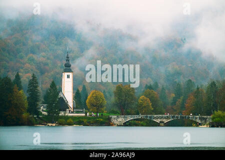 Nebeliger Morgen im Herbst am See Bohinj in Nationalpark Triglav, Slowenien Stockfoto