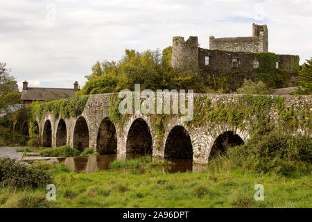 Alte Steinbrücke über die Fusion Fluss mit glanworth Schloss hinter. County Cork, Irland. Stockfoto