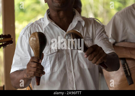 Ein kubanischer Sänger mit einer kubanischen Musikinstrumente genannt, "aracas", ein traditionelles Musikinstrument aus natürlichen Materialien während performi Stockfoto