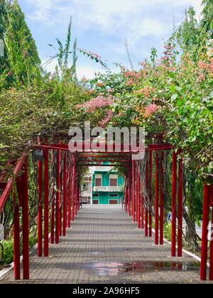 Flower Spaziergang in der Casco Viejo, Panama City Stockfoto