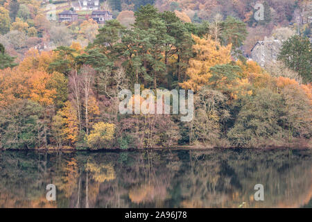 Herbstfarben in den See in Grasmere im Lake District National Park wider Stockfoto