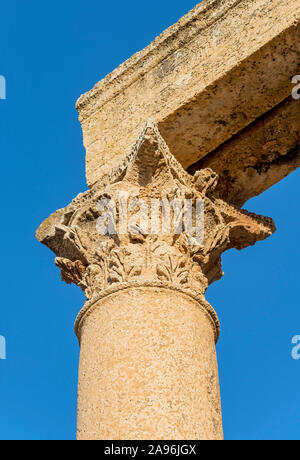 Korinthische Säule, Cardo Maximus Straße, Jerash, Jordanien Stockfoto