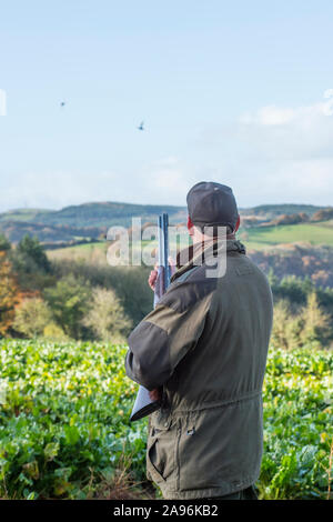 Mann Shooting Ducks Stockfoto