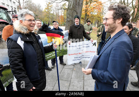 13 November 2019, Schleswig-Holstein, Kiel: Jan Philipp Albrecht (r, Bündnis 90/Die Grünen), Schleswig-Holstein Minister für Energiewende, Landwirtschaft, Umwelt, Natur und Digitalisierung, spricht mit Ursula Trede des Bundesverbandes der Deutschen Milchviehhalter (BDM) vor dem landeshaus. Die Milchbauern im BDM organisiert übergeben ihre Forderungen an Albrecht im Vorfeld der Konferenz für Umwelt und Landwirtschaft Minister. Foto: Carsten Rehder/dpa Stockfoto