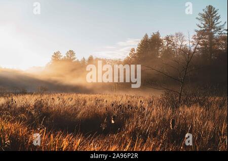 Einem farbenfrohen lebendige Landschaft mit schönen Bäumen und Sonnenuntergänge und Natur Stockfoto