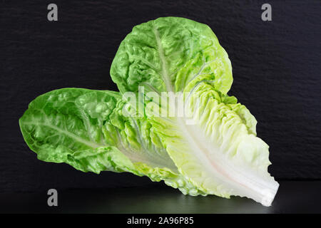 Romana Salat gegen schwarze Schiefer Hintergrund Stockfoto