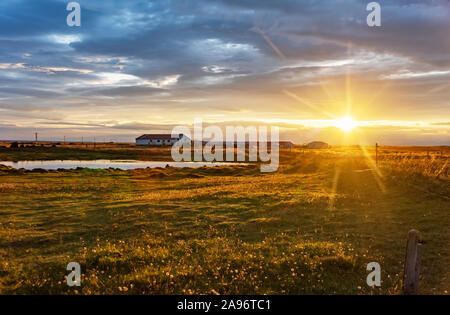 Alte und Wiese in Island auf den Sonnenaufgang. Typisch isländischen Landschaft. Stockfoto