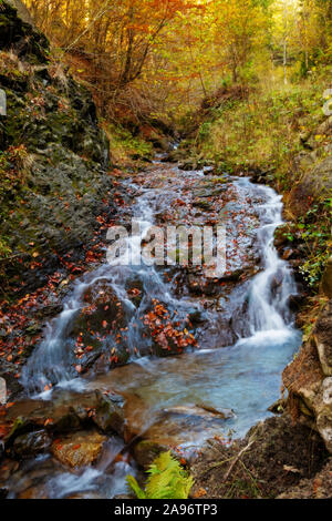 Schönen seidigen Kaskaden von frischen Bergbach im Herbst Wald. Die Schönheit der Natur, Ökologie und Umwelt Konzepte. Stockfoto