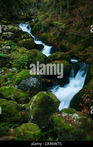 Ein Strom von Wasser fließt über bemoosten Felsen im Herbst Stockfoto