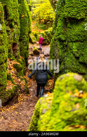 Eine Familie Spaziergänge durch ein Moos bedeckt Schlucht. Puzzlewood, Wald von Dean, Gloucestershire. Großbritannien Stockfoto