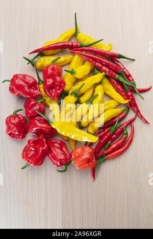 Frische Chilischoten, rot, orange und gelb Peperoni auf einem hölzernen Tisch von oben betrachtet, Habanero, Lemon Drop, Cayenne, Thai Stockfoto