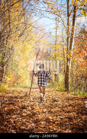 Junge Wandern auf Blatt fallen weg mit einem grossen Stock auf Herbst Tag. Stockfoto