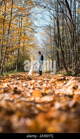 Mann und seinem Hund auf der Suche nach einander auf Blatt fallen weg im Wald. Stockfoto