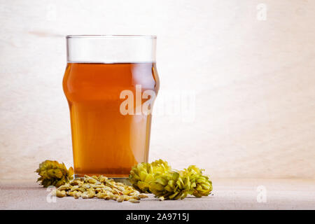 Bier in ein Glas mit Gerste und Hopfen auf hellen Hintergrund. Handwerk Bier, Brauereien und Alkohol trinken Konzepte. Stockfoto
