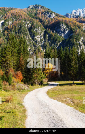 Wicklung kies Trail durch den Bergwald mit farbenfrohen Bäume und Berge im Hintergrund an einem sonnigen Herbsttag Stockfoto