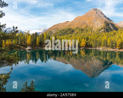 Herbst Landschaft, Wälder und Alpine Lake. Trekking in den Bergen im Herbst Saison. Saoseo See, Schweizer Alpen Stockfoto