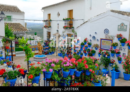 Boadilla del Monte, Provinz Córdoba, Andalusien. Spanien Stockfoto