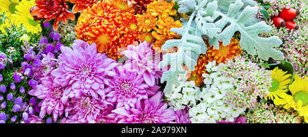 Herbst Blumen Hintergrund Stockfoto