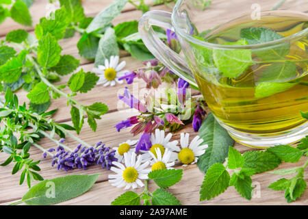 Kräutertee und frischen Kräutern Stockfoto