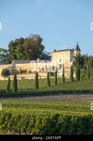 Rote Trauben auf Reihen von Reben in vienyard von Clos La Madeleine Reif vor der Weinlese in Saint Emilion Region. Frankreich Stockfoto