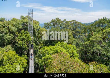 Anzeigen von Ulu Temburong Nationalpark oder fathul Park, in Temburong District im Osten Brunei von Canopy Walkway Stockfoto