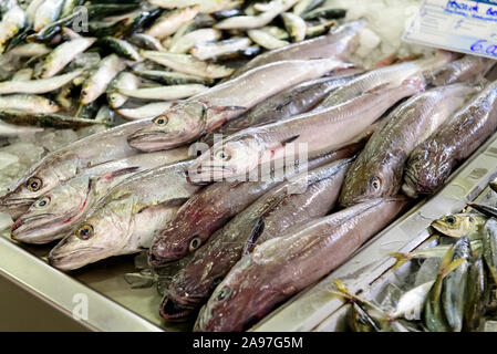 Frischer europäischer Seehecht - Merluccius merluccius zum Verkauf auf dem Olhao Fisch- und Produktmarkt. Olhao Algarve, Portugal. Stockfoto