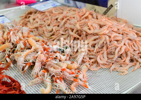 Frische Shrimps und Meeresfrüchte zum Verkauf auf dem Fisch- und Produktmarkt in Olhao. Olhao Algarve, Portugal. Stockfoto