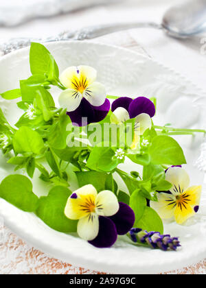 Frischer Salat mit verschiedenen essbaren Blumen und Vogelmiere Stockfoto