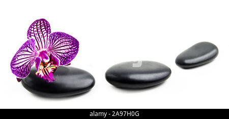 Wellness Hot Stones und Orchidee Stockfoto