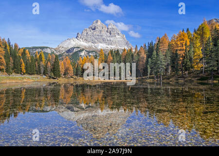 Berg Drei Zinnen und Lärchen im Wasser des Sees Lago wider d'Antorno im Tre Cime Naturpark im Herbst, Dolomiten, Südtirol, Italien Stockfoto