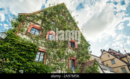 Bamberg 2019. Typische Stadt Palast komplett mit Pflanzen und Blumen bedeckt. Wir sind auf einem warm und bewölkt Nachmittag auf der Regnitz. Augus Stockfoto