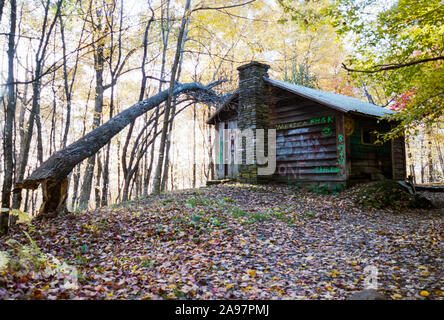 Eine alte Hütte verlassen in den Wald Stockfoto