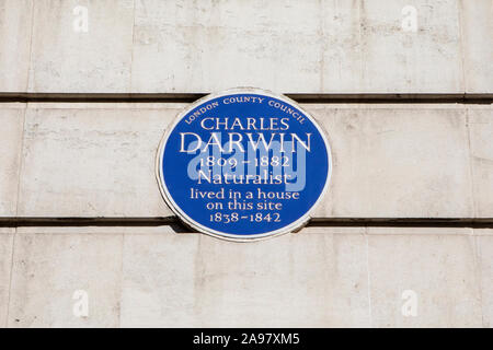 London, UK, 26. Februar 2019: Eine blaue Plakette auf Gower Street in London, und markiert die Stelle, wo Charles Darwin einmal gelebt hat. Stockfoto