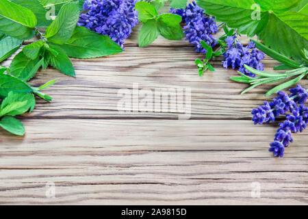 Heilkräuter und Holz- Hintergrund Stockfoto