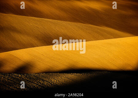 Ein Spiel von Licht und Schatten in einem Herbst Feld in der hügeligen Landschaft von Südmähren. Niedrige Morgensonne malt in braune Felder. Mährischen Toskanischen Stockfoto