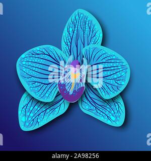 In der abstrakten Stil auf blauem Hintergrund Orchidee. Weiß Blau Orchideenblüte. Realistische orchidaceae Für frame Print Design. Vektor exotische Sommer Hintergrund Stock Vektor