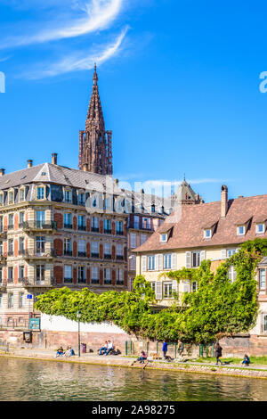 Der Turm der Kathedrale Notre-Dame in Straßburg, Frankreich, ist vorstehende über dem Gebäude des historischen Zentrums mit dem Fluss Ill gebadet Stockfoto