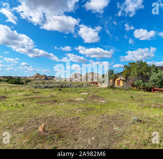 Prairie Dog Town in der Nähe der Alten Eingang Ost, Theodore Roosevelt National Park, North Dakota, USA. Einer Wiese Hund sitzt im Vordergrund. Stockfoto