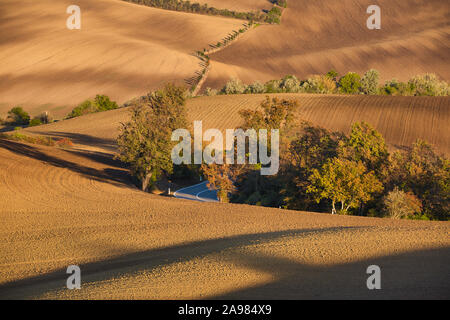 Ein Spiel von Licht und Schatten in einem Herbst Feld in der hügeligen Landschaft von Südmähren. Niedrige Morgensonne malt in braune Felder. Mährischen Toskanischen Stockfoto