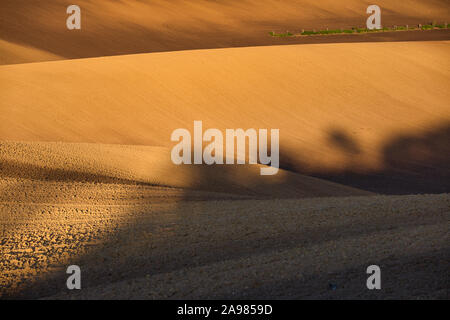 Ein Spiel von Licht und Schatten in einem Herbst Feld in der hügeligen Landschaft von Südmähren. Niedrige Morgensonne malt in braune Felder. Mährischen Toskanischen Stockfoto