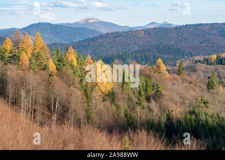 Blick auf Smerek Peak und Połonina Wetlińska in das Bieszczady-gebirge. Östlichen Karpatenvorland, Polen. Stockfoto