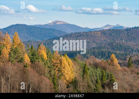 Blick auf Smerek Peak und Połonina Wetlińska in das Bieszczady-gebirge. Östlichen Karpatenvorland, Polen. Stockfoto