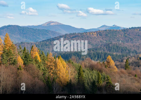 Blick auf Smerek Peak und Połonina Wetlińska in das Bieszczady-gebirge. Östlichen Karpatenvorland, Polen. Stockfoto