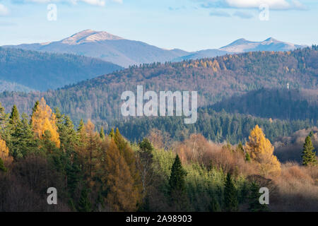 Blick auf Smerek Peak und Połonina Wetlińska in das Bieszczady-gebirge. Östlichen Karpatenvorland, Polen. Stockfoto