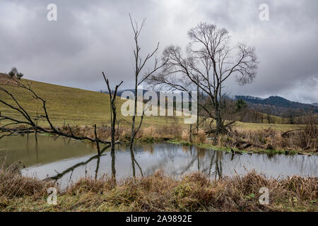 Wasser durch die Biber aufgestaut in das Bieszczady-gebirge. östlichen Karpatenvorland, Polen. Stockfoto