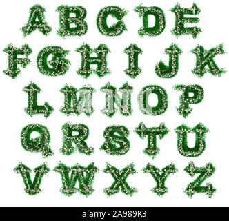 Grünes Gras und Blumen Alphabet. Schriftart für Ihr Design. 3D-Darstellung. Stockfoto