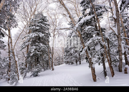 Mt. Kurodake Hokkaido, Japan winterlichen Wanderweg. Stockfoto